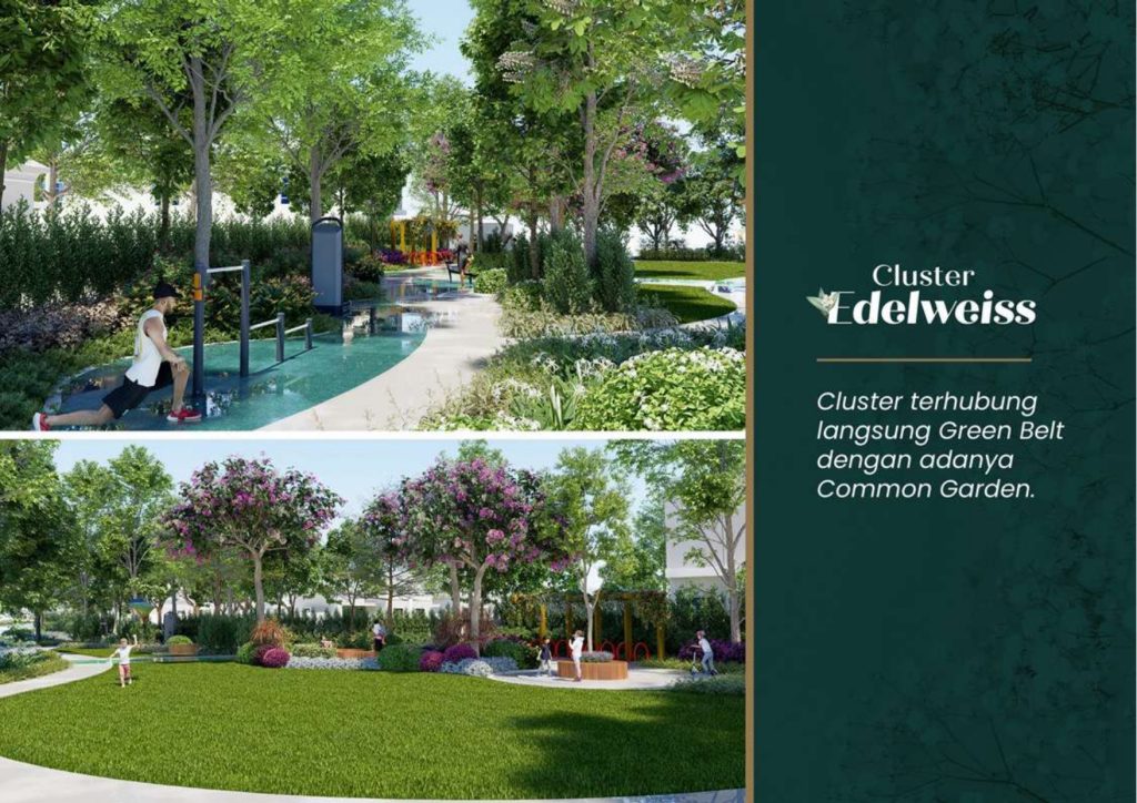 Cluster Edelweiss_page-0018